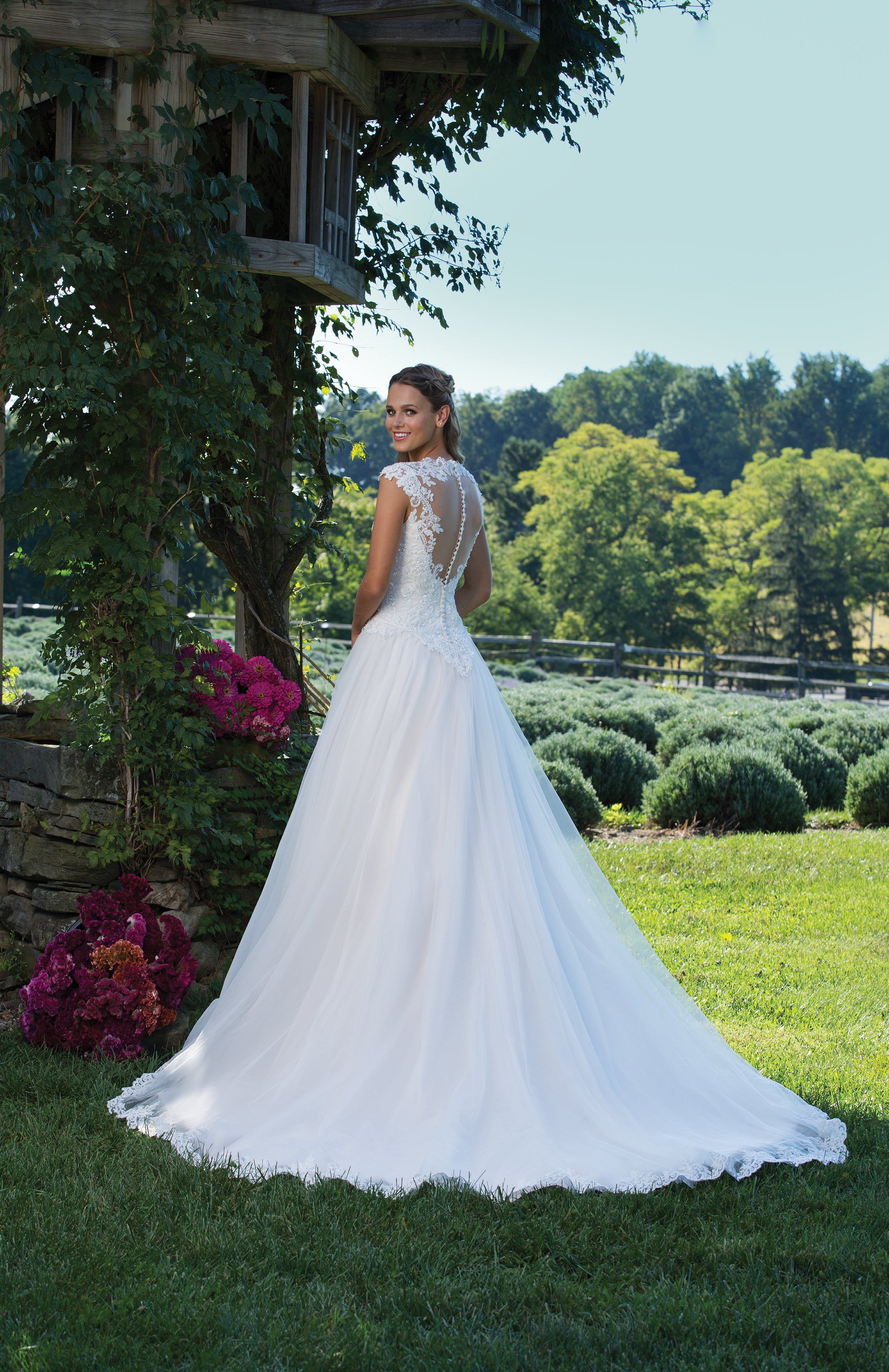 Plus Size Tulle Ball Gown with Lace Bodice and Hem with Illusion Back -  #3982